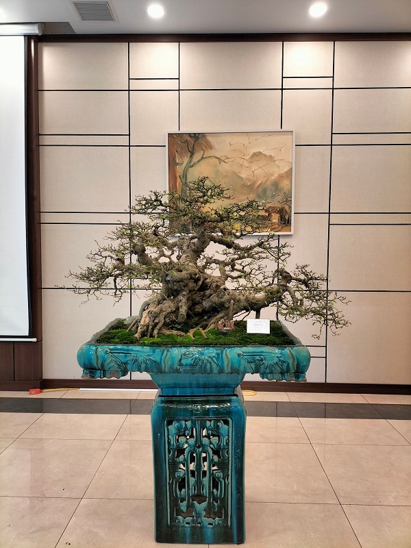 Tác phẩm nghệ thuật bonsai hội tụ đầy đủ tiêu chí “Cổ, kỳ, mỹ, văn”