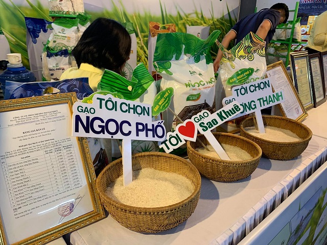 Sản phẩm gạo của công ty TNHH Sao Khuê