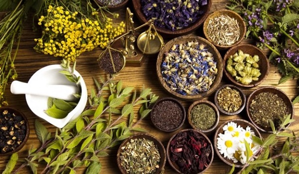 Nhiều loại thảo dược tự nhiên hỗ trợ hiệu quả trong điều trị bệnh nhân Covid - 19 Nhiều loại thảo dược tự nhiên hỗ trợ hiệu quả trong điều trị bệnh nhân Covid - 19