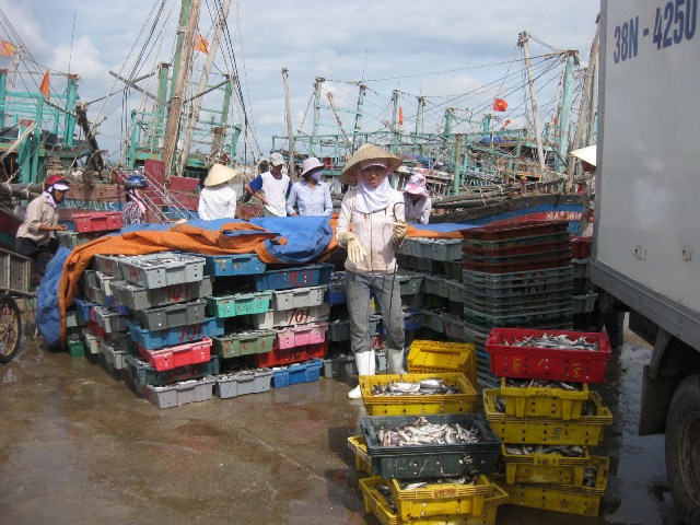 Hà Tĩnh vừa cấp mới 965 giấy phép khai thác thủy sản của ngư dân theo quy định.