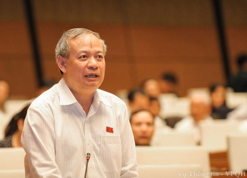Tiến sĩ Đinh Xuân Thảo bày tỏ quan điểm trên nghị trường kỳ họp thứ 8 Quốc hội khóa XIII