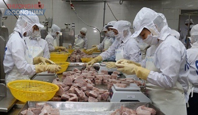 Thủy sản là một trong những mặt hàng xuất khẩu mũi nhọn của tỉnh Bình Định. Trong ảnh: Một góc phân xưởng chế biến của Công ty CP Thủy sản Bình Định.