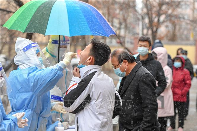 Nhân viên y tế lấy mẫu xét nghiệm Covid-19 cho người dân tại tỉnh Cát Lâm, Trung Quốc (Ảnh: THX/TTXVN)