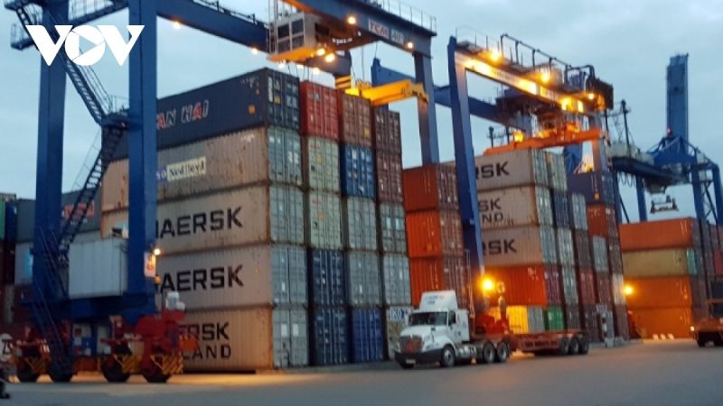 Theo Vinacas, 36/100 container điều xuất khẩu sang Italy đã mất quyền kiểm soát
