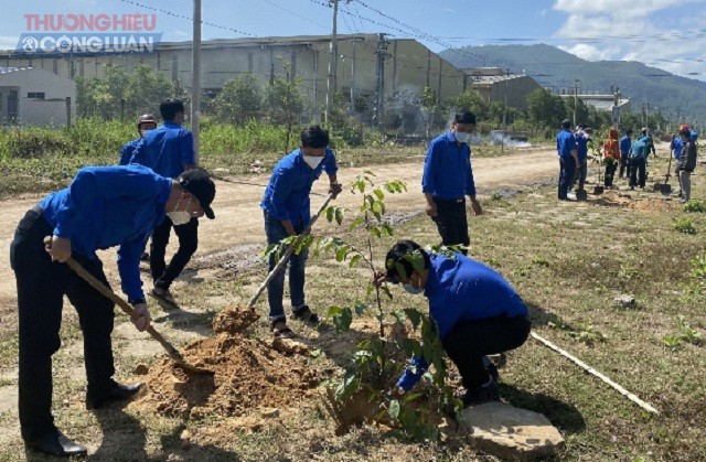 Tuổi trẻ Cục QLTT Bình Định đang trồng cây xanh.
