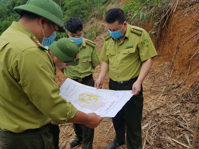 Cán bộ Hạt Kiểm lâm huyện Định Hóa đi kiểm tra rừng quế.