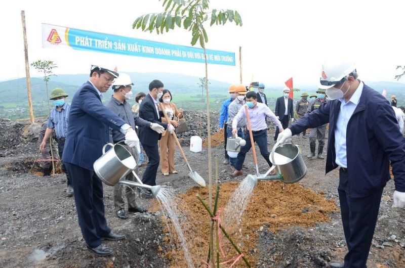 Tiến hành trồng cây bảo vệ môi trường năm 2022 của lãnh đạo, cán bộ CNVC Công ty