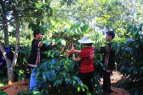 Đắk Lắk: Phát triển du lịch bền vững từ các thế mạnh của địa phương