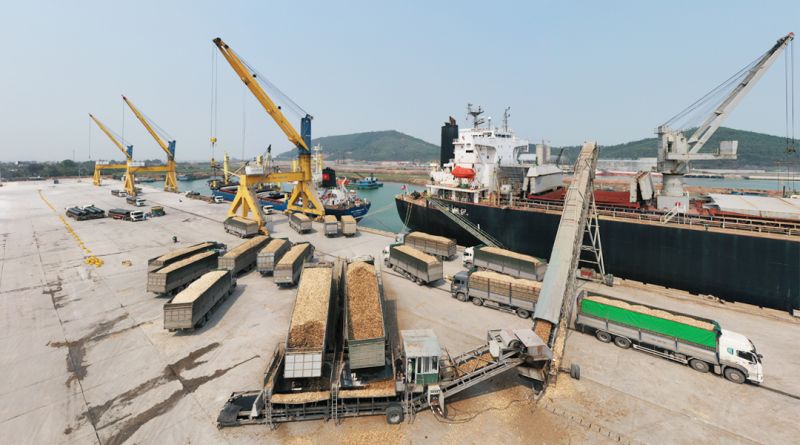 Xếp dỡ hàng tổng hợp tại Cảng quốc tế Nghi Sơn