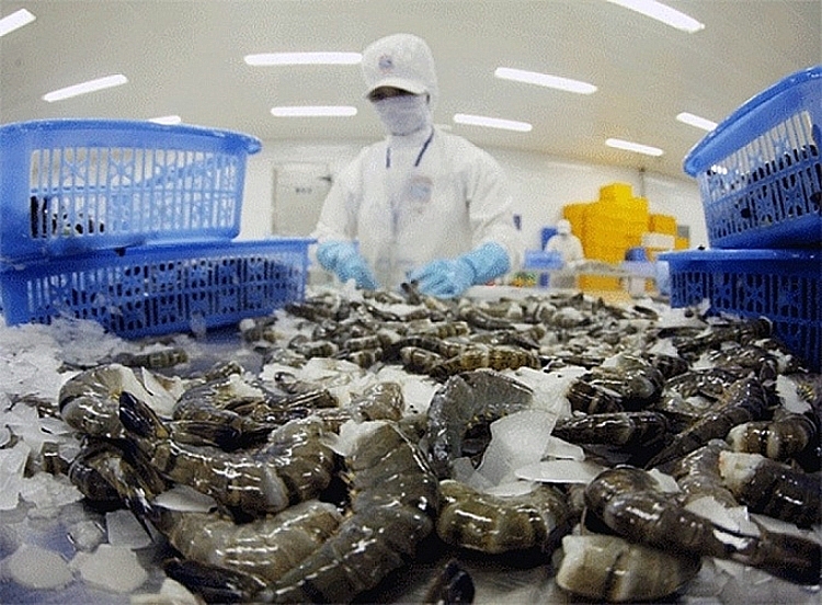 FTA thế hệ mới giúp xuất khẩu tôm tiếp tục tăng trong thời gian tới