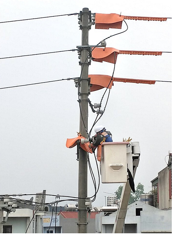 Đội sửa chữa Hotline xử lý khiếm khuyết lưới điện