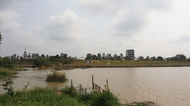Bình Phước huỷ bỏ chủ trương cho FLC lập quy hoạch làm dự án hơn 1.700 ha