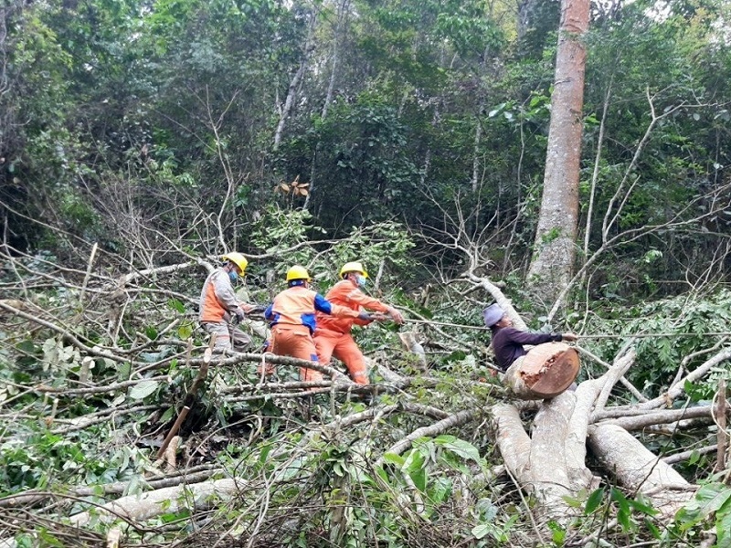 Công nhân điện cùng nhân dân chặt cây đảm bảo an toàn hành lang lưới điện cao áp