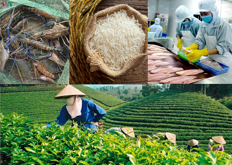 Cùng chung tay góp sức xây dựng thương hiệu hàng hóa nông sản Việt