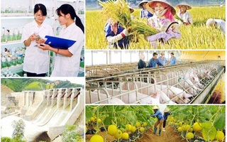 Cần công khai, minh bạch trong thực hiện các Chương trình mục tiêu quốc gia