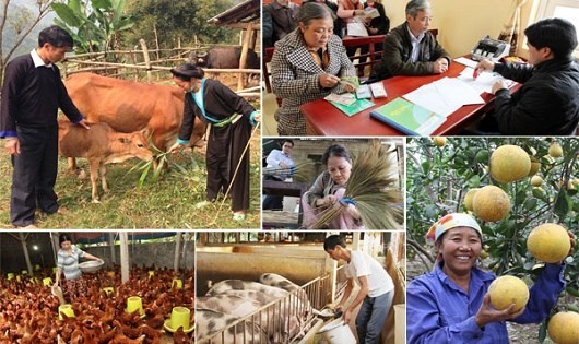 Dự kiến kinh phí chương trình giảm nghèo bền vững tối thiểu là 75.000 tỷ đồng