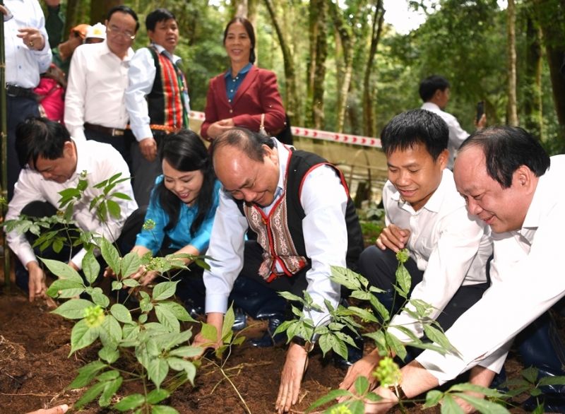 Chủ tịch nước Nguyễn Xuân Phúc thăm vườn sâm - Công ty CP Sâm Ngọc Linh, Kon Tum (khi còn là Thủ tướng Chính phủ).