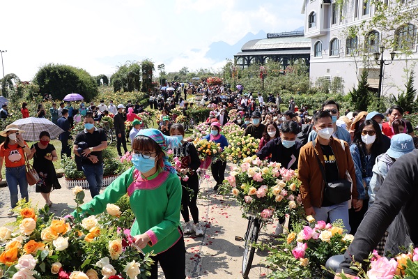 Lễ hội hoa hồng thu hút hơn 30.000 lượt du khách đến Sa Pa