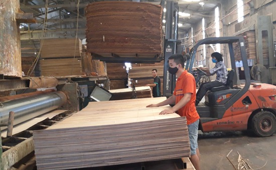 Ngày 17/10 sẽ có kết luận điều tra cuối cùng việc chống bán phá giá gỗ dán cứng tại Mỹ