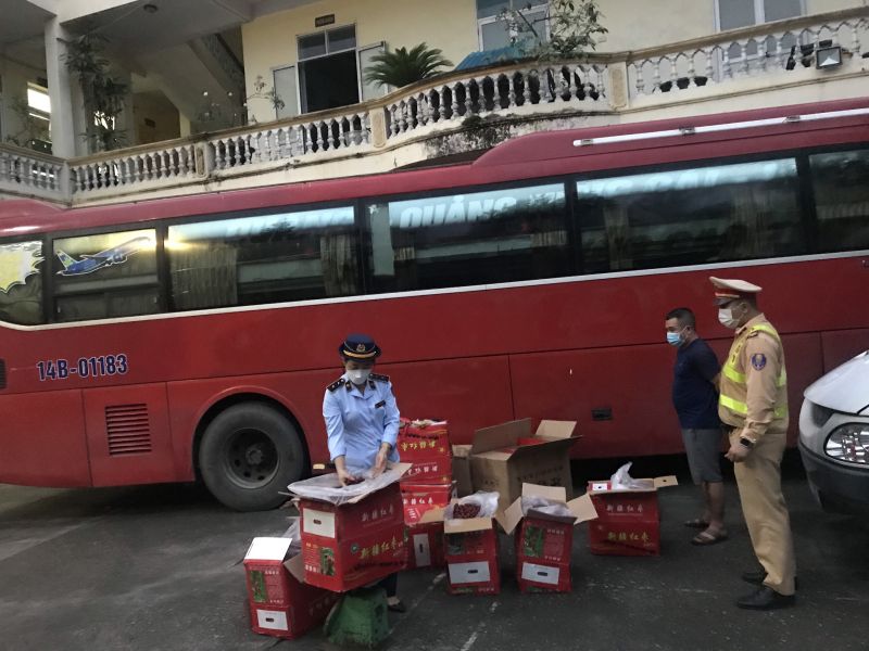 lực lượng chức năng trực thuộc Ban chỉ đạo 389 tỉnh Quảng Ninh vừa phát hiện 1 xe ô tô vận chuyển 500 kg táo tàu khô ẩm mốc không có giấy tờ, hóa đơn chứng từ hợp pháp kèm theo đang được vận chuyển đi tiêu thụ.