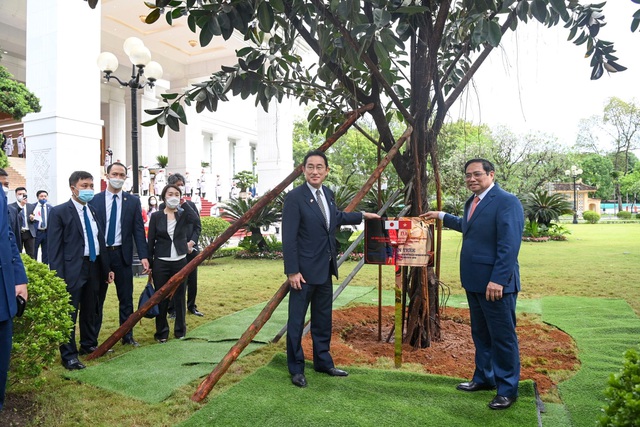 Thủ tướng Phạm Minh Chính và Thủ tướng Nhật Bản Kishida Fumio trồng cây lưu niệm tại khuôn viên Trụ sở Chính phủ. Ảnh VGP/Nhật Bắc