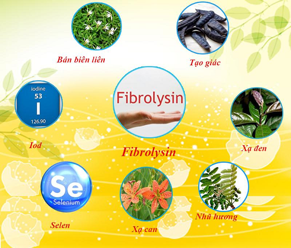 Fibrolysin kết hợp với nhiều thảo dược khác giúp tăng tác dụng cải thiện ho khan