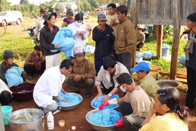 Gia Lai tăng cường phòng, chống bệnh sốt xuất huyết