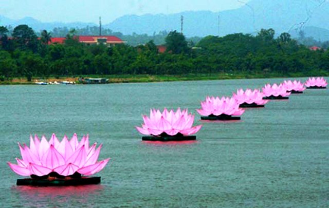 7 đoá sen hồng trên sông Hương