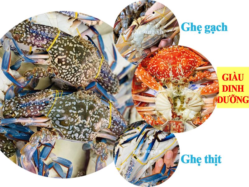 Quý I/2022, xuất khẩu cua ghẹ sang Mỹ cán mốc 19 triệu USD