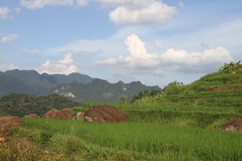 Khu bảo tồn thiên nhiên Pù Luông, huyện Bá Thước, tỉnh Thanh Hoá