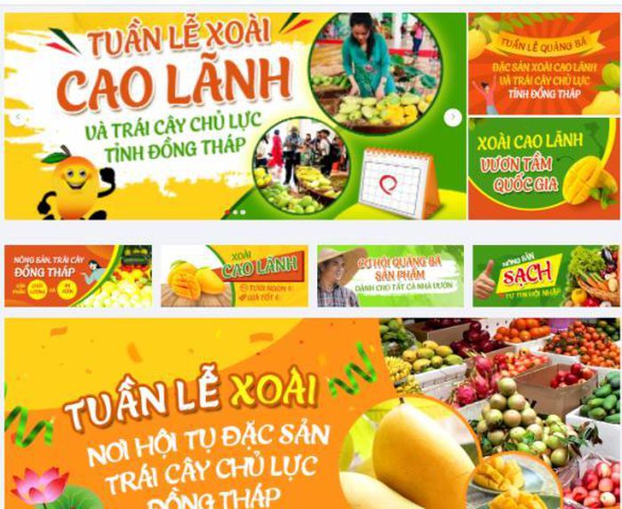 Đồng Tháp đẩy mạnh ngành xoài và trái cây chủ lực lên sàn thương mại điện tử