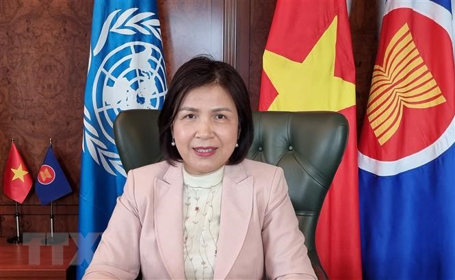 Đại sứ Lê Thị Tuyết Mai, Trưởng Phái đoàn Việt Nam bên cạnh Liên Hợp quốc, Tổ chức Thương mại Thế giới và các tổ chức quốc tế khác tại Geneva Thụy Sỹ. Ảnh Chinhphu.vn
