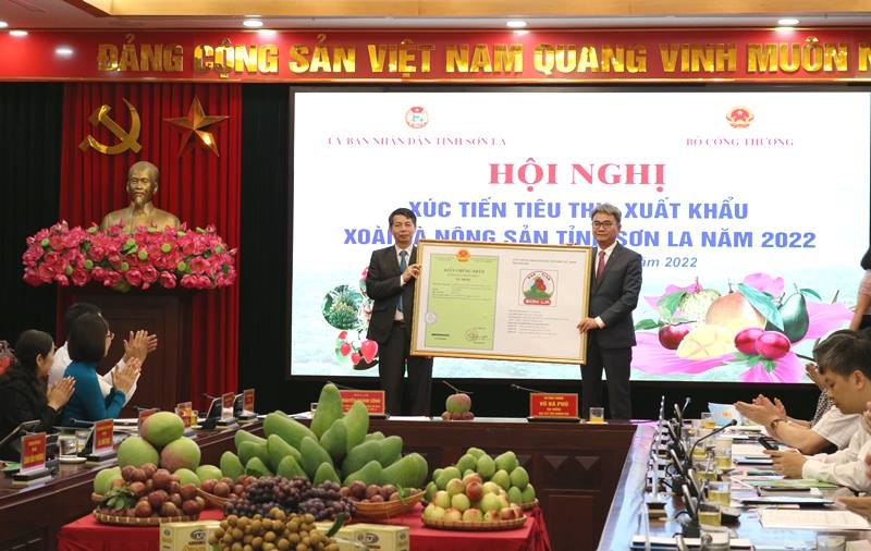 Ông Đinh Hữu Phí - Cục trưởng Cục Sở hữu trí tuệ trao Giấy chứng nhận đăng ký nhãn hiệu cho 3 sản phẩm: Chanh leo, mận, bơ Sơn La