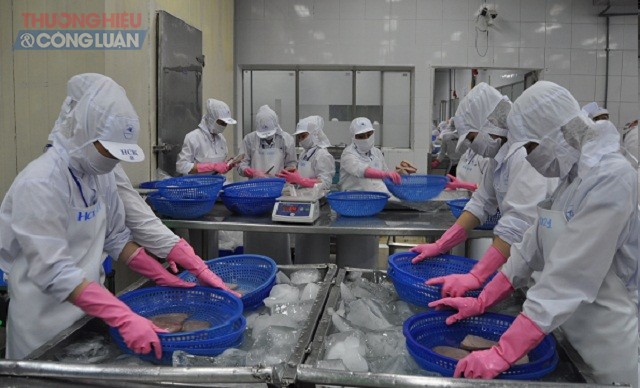 Thủy hải sản là một trong những mặt hàng của tỉnh Bình Định có giá trị kim ngạch xuất khẩu tăng trưởng khá. Trong ảnh: Một góc phân xưởng chế biến của Công ty CP Thủy sản Bình Định.