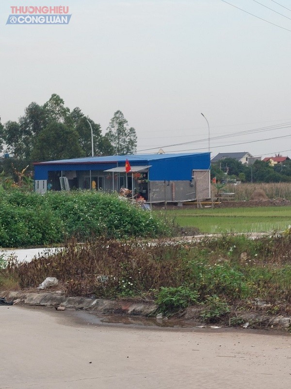 Công trình xây dựng trên đất nông nghiệp tại xã Tiên Cường, Tiên Lãng, Hải Phòng
