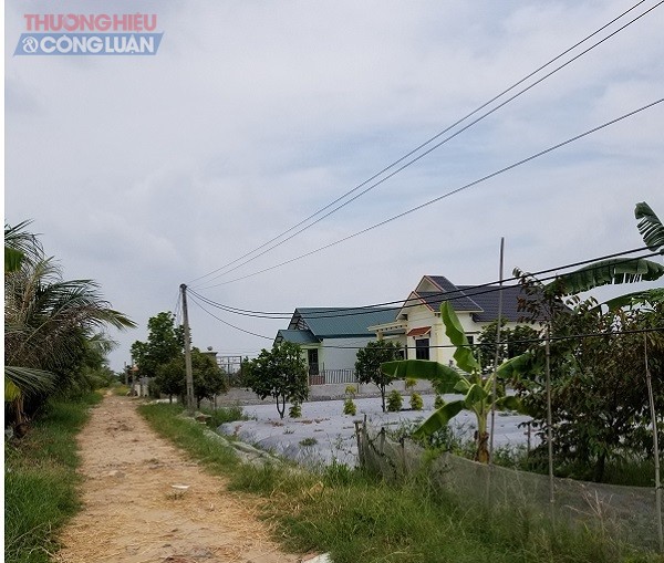 Hai công trình xây dựng trên đất nông nghiệp sau trạm y tế xã Tiên Cường, huyện Tiên Lãng, Hải Phòng