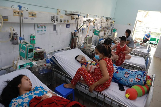 Dịch sốt xuất huyết và tay chân miệng có xu hướng gia tăng tại TP. Hồ Chí Minh
