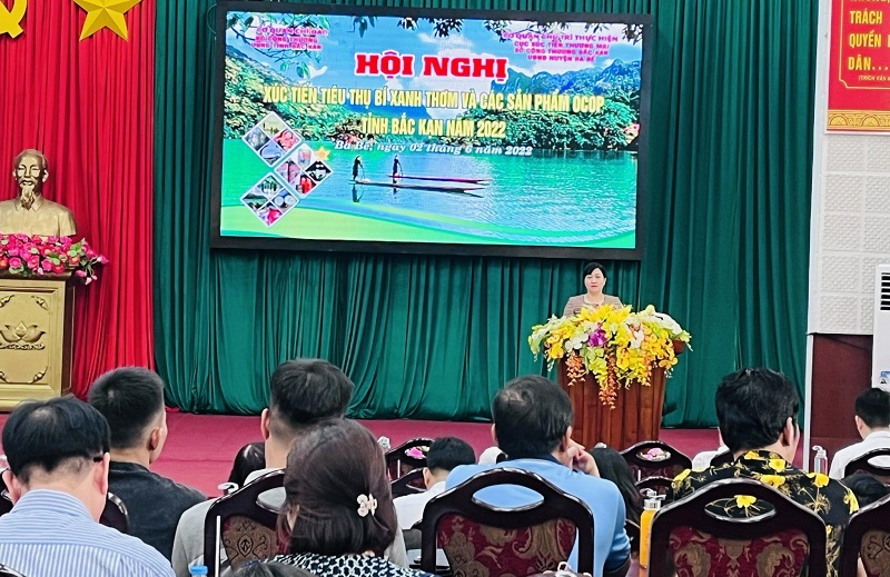 Bà Đỗ Thị Minh Hoa, Phó Chủ tịch UBND tỉnh Bắc Kạn phát biểu tại Hội nghị