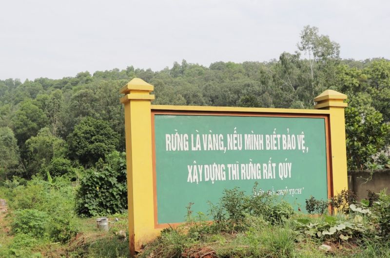 Tăng cường công tác quản lý bảo vệ rừng trên địa bàn tỉnh Bắc Ninh