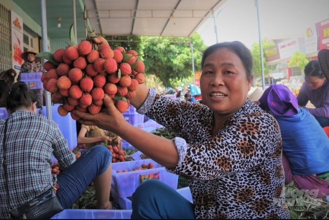 Việt Nam đang xuất khẩu ba loại trái cây tươi vào thị trường này là thanh long, xoài và vải.