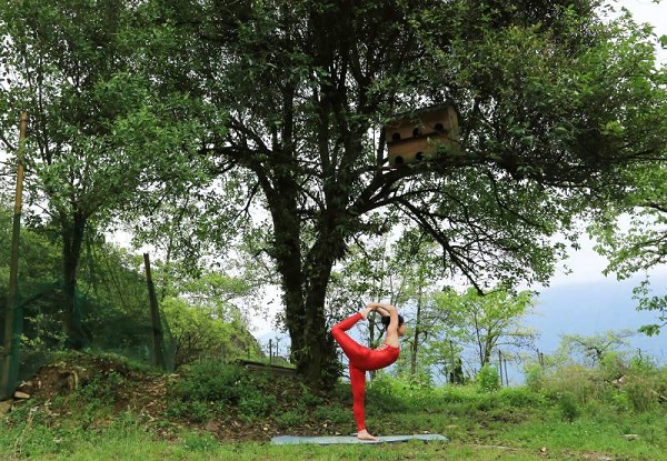 Ngày Quốc tế Yoga lần thứ 8 sẽ tổ chức trên đỉnh Fansipan