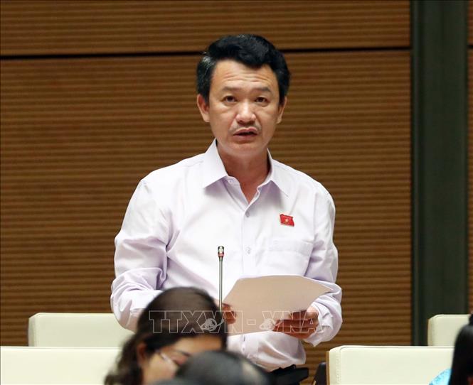 Đại biểu Quốc hội tỉnh Quảng Bình Trần Quang Minh phát biểu ý kiến (Ảnh TTXVN)