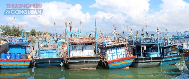 Huyện Phù Cát là một trong những địa phương của tỉnh Bình Định có nhiều tàu cá vi phạm IUU. Trong ảnh: Một góc khu neo đậu tàu Cảng cá Đề Gi – Phù Cát.