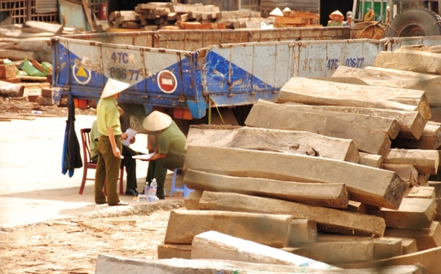 Cơ quan An ninh điều tra Bộ Công an kiểm đếm số gỗ lậu trong kho của Công ty Hiền Thái