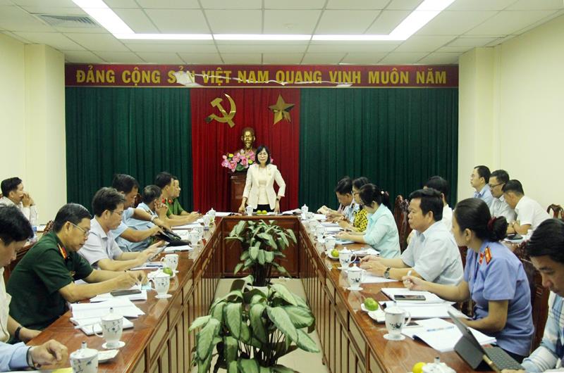Bà Nguyễn Thị Hoàng, Phó chủ tịch UBND tỉnh phát biểu chỉ đạo (Ảnh: KT)