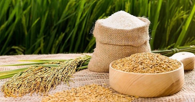 Giá lúa gạo hôm nay 08/07/2022: Giá lúa tươi tăng nhẹ 50 đồng/kg