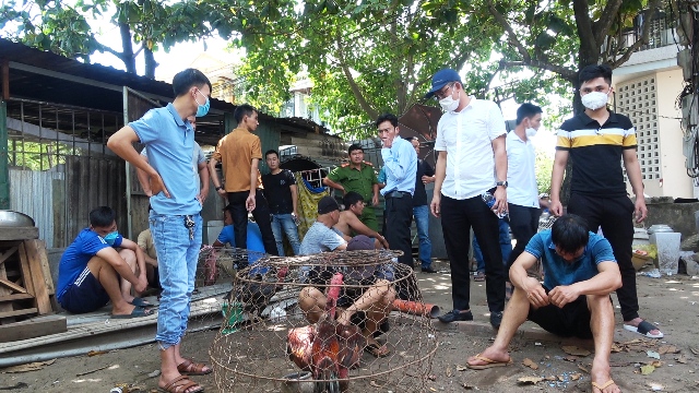 Các đối tượng tham gia đá gà bị bắt giữ Các đối tượng tham gia đá gà bị bắt giữ