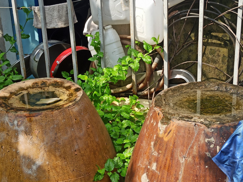 TP. Hồ Chí Minh đẩy mạnh tổng vệ sinh triệt nơi sinh sản của muỗi truyền bệnh sốt xuất huyết