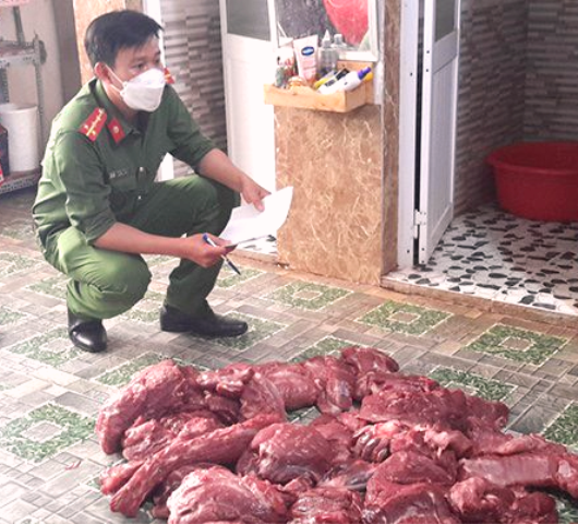 Công an thành phố Gia Nghĩa đề nghị truy tố người làm “thịt nai gác bếp” giả từ heo nái