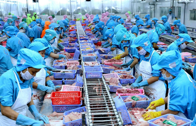 Hàng hóa Việt Nam xuất khẩu sang EU liên tục tăng. Ảnh minh họa internet